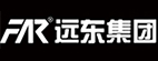 远东集团