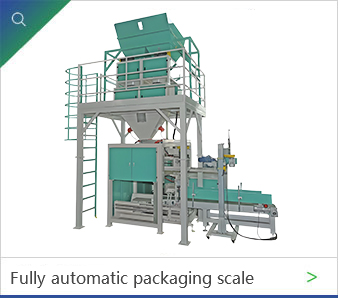 Packaging Scale